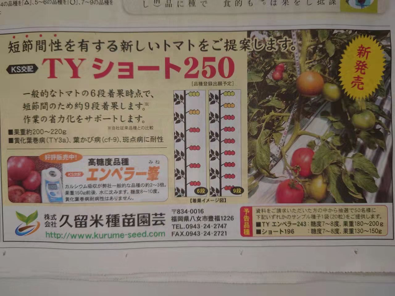 2022年6月7日付　日本農業新聞トマト特集広告出稿