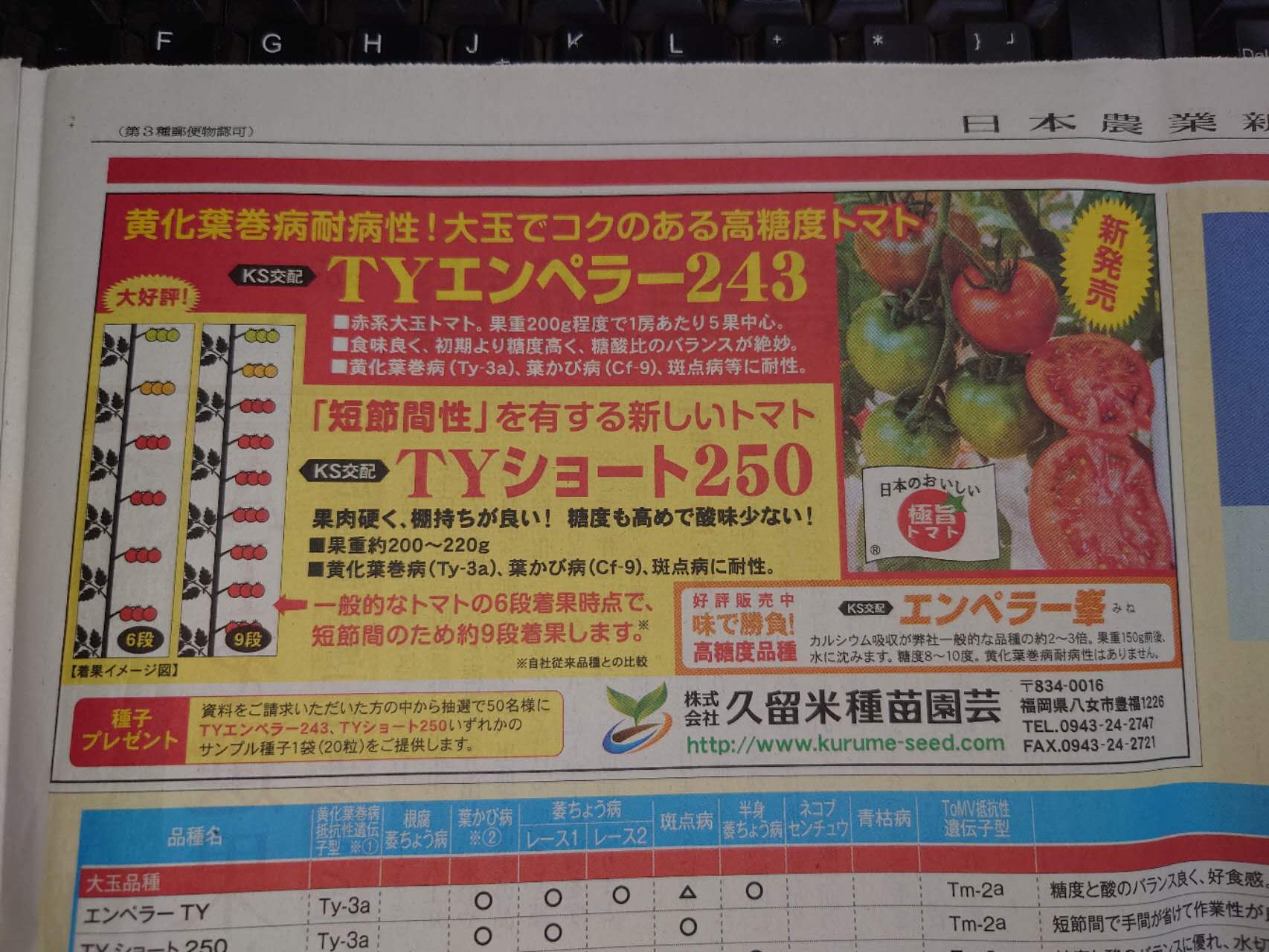 新品種TYエンペラー243を2023年6月7日付　日本農業新聞トマト特集広告出稿
